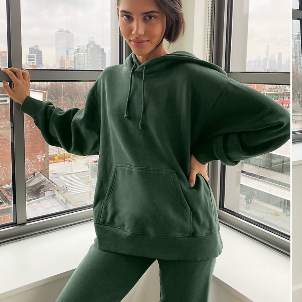 Aritzia TNA boyfriend hoodie